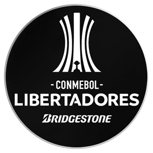 copa libertadores